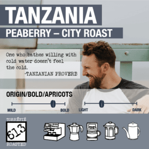 Tanzanian Peaberry